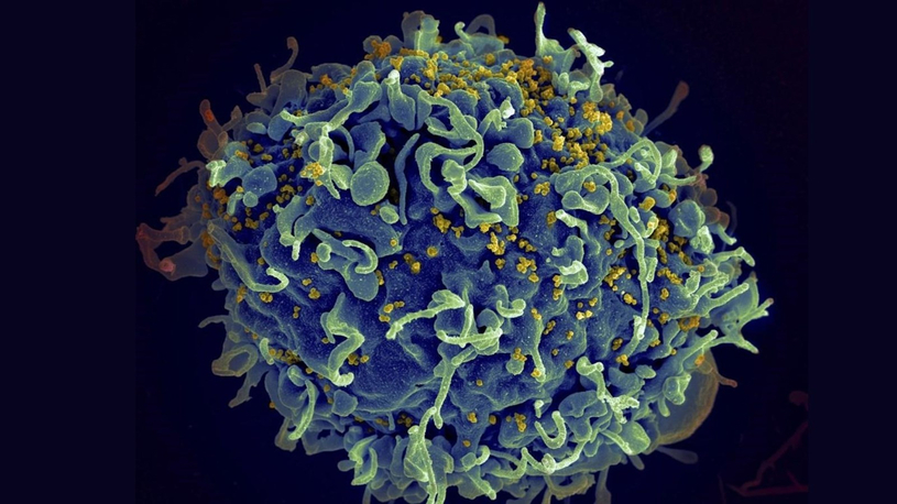 Les changements climatiques pourraient augmenter le risque de nouvelles infections