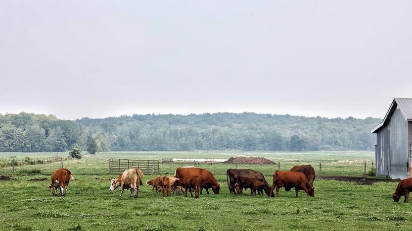 Mettre en lumière le travail innovant de plus de 50 entreprises agricoles sélectionnées en Montérégie