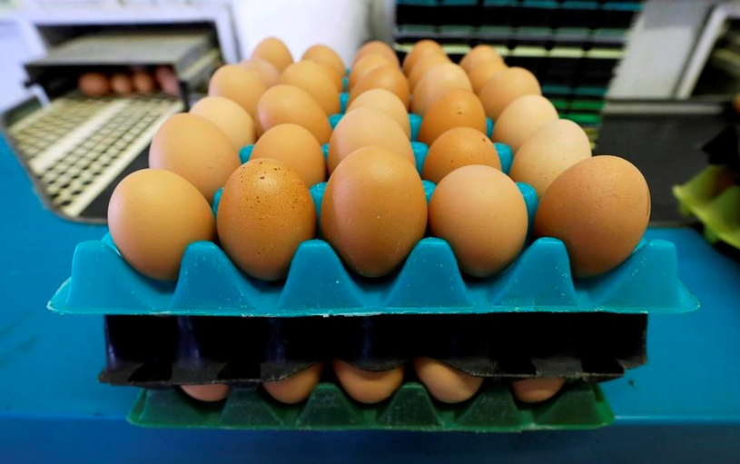Les banques alimentaires du Québec sonnent l'alarme