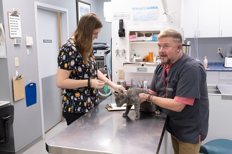 La santé mentale des vétérinaires canadiens se détériore
