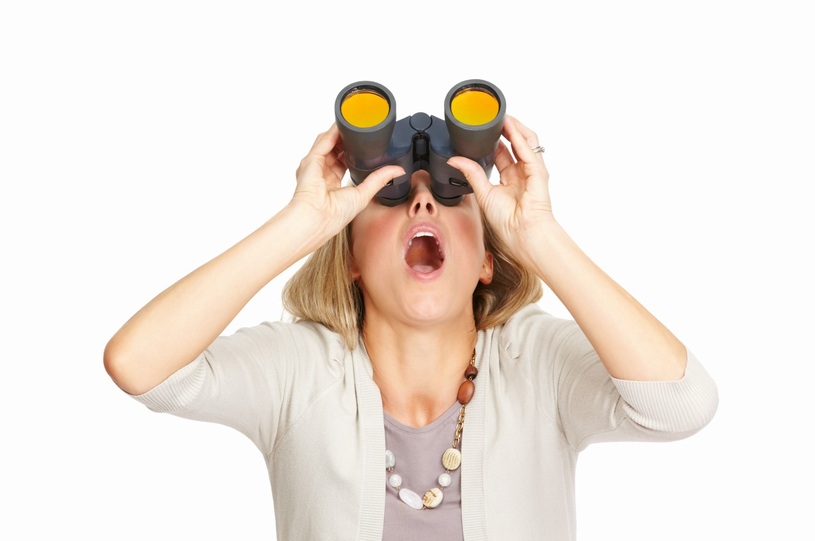 Activités d’observation d’oiseaux pour toute la famille