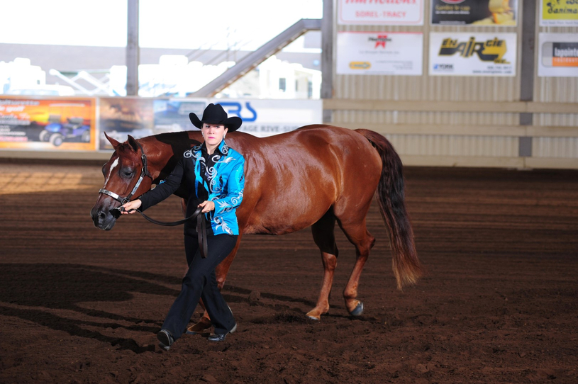Championnat d’équitation western : Richelieu-Yamaska termine troisième