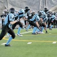 Les Titans perdent leur quart-arrière à leur premier match