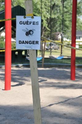 Boisbriand doit lutter contre des infestations de guêpes