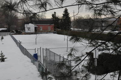 Le parc canin ne fait pas l'unanimité