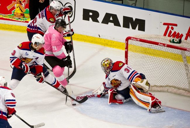 Les Wildcats et les Sea Dogs en visite