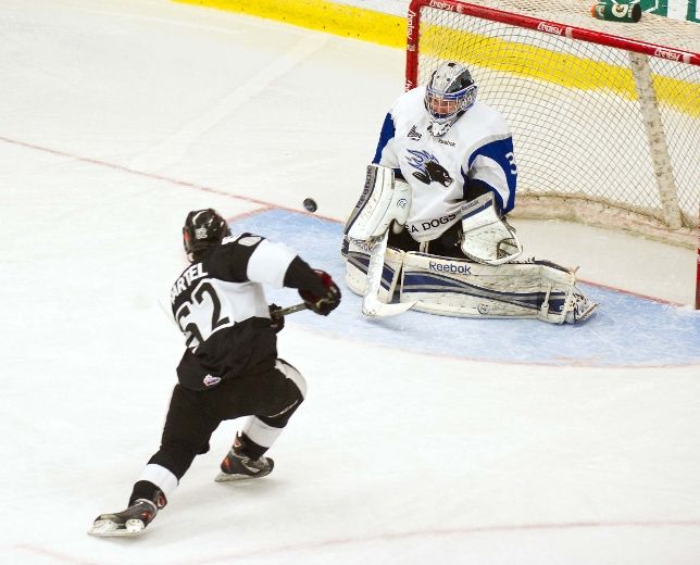 L’Armada domine les Sea Dogs
