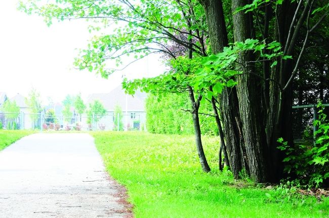 Un acte de dénonciation est déposé