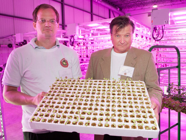 La première ferme cubique s’implante à Mirabel