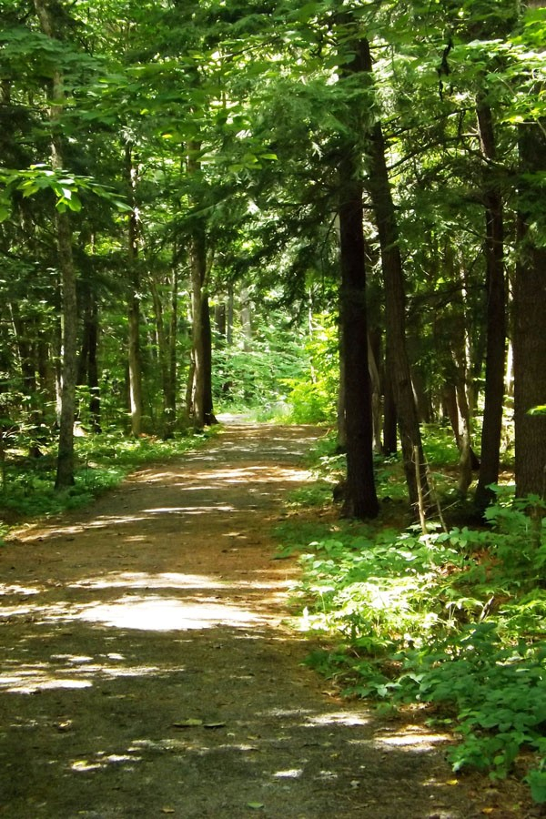 Parc naturel des Méandres : un espace vert à découvrir
