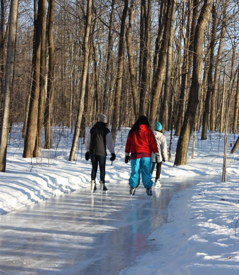 Le parc régional du Bois-de-Belle-Rivière attire les foules