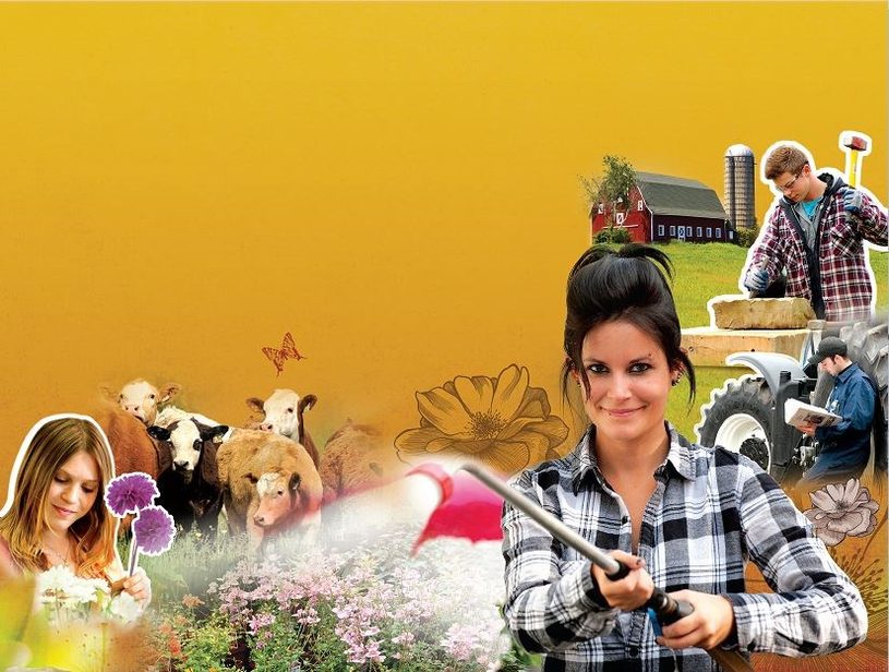 Centre de formation agricole de Mirabel ouvert au public