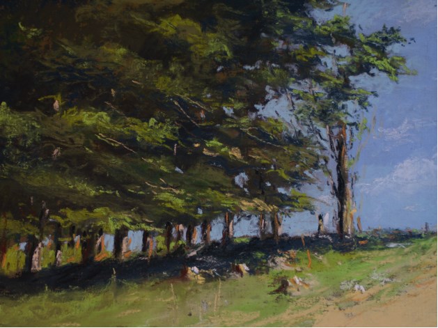 Le pastelliste Normand Beauséjour expose à Saint-Colomban