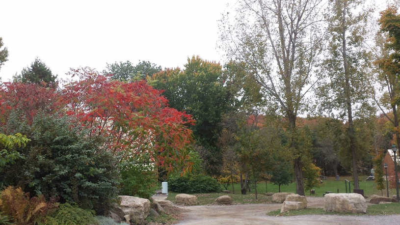 Vive les couleurs au bois de Belle-Rivière