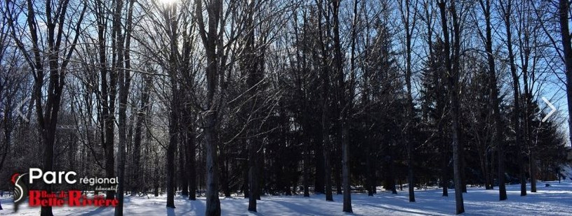 Le temps des sucres au Parc régional du bois de Belle-Rivières 