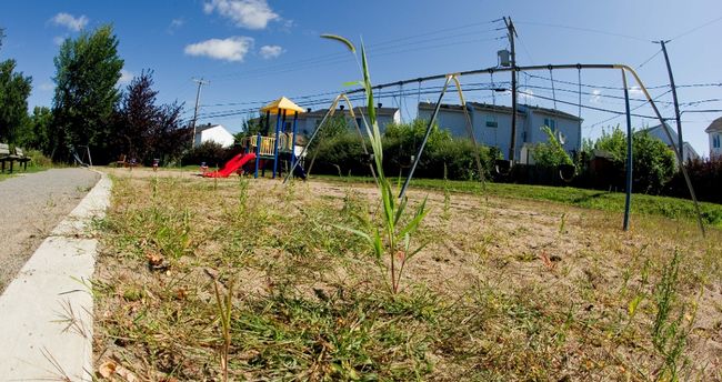 Roch-Hébert: un parc mal entretenu et dangereux