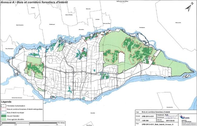 La Ville adopte un schéma d’aménagement transitoire