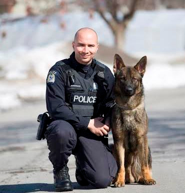 Un maître-chien appréhende quatre suspects dans la même soirée
