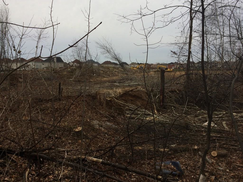Parc Stéphanie : la Ville interrompt les travaux pour le nouveau terrain de soccer