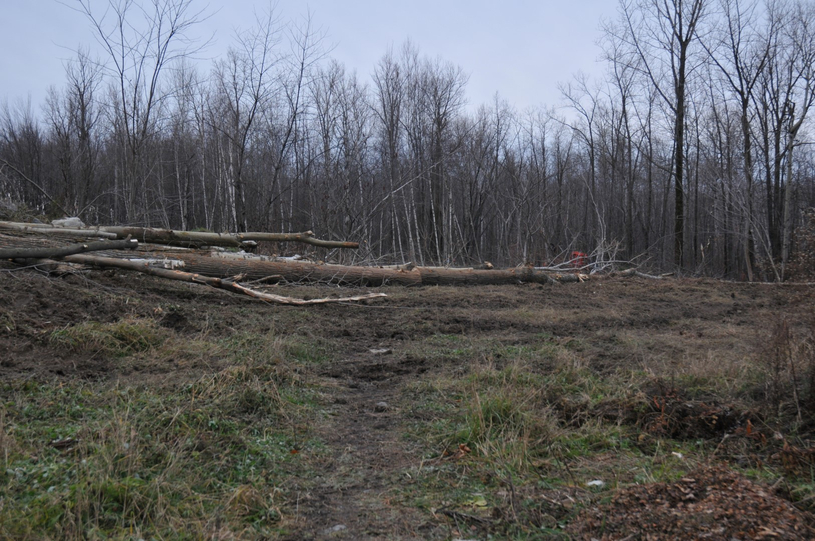 Protection du bois de la Source: le mouvement citoyen s'intensifie
