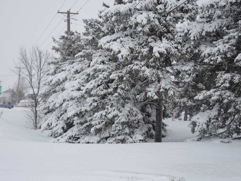 Alerte neige à Laval : première bordée à venir
