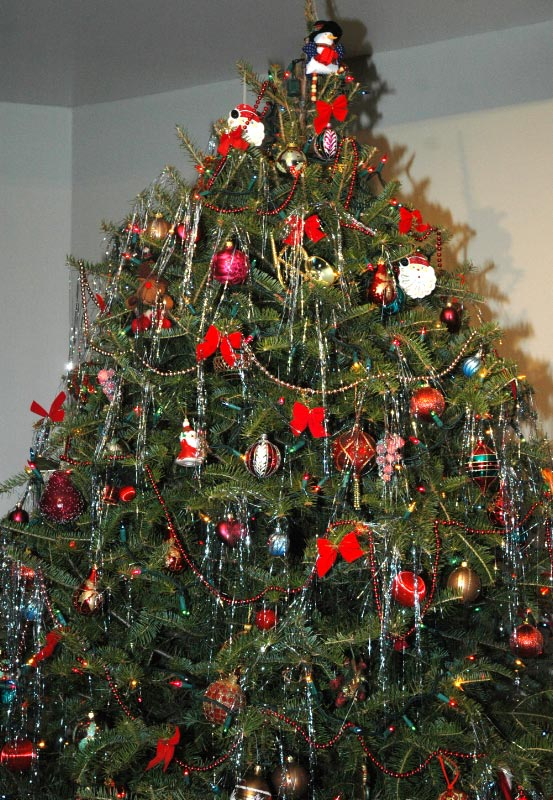 Collecte spéciale de sapins de Noël