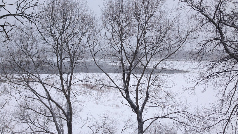 Un ruisseau sur la rivière des Prairies