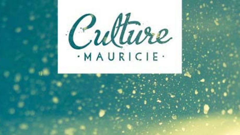 Un montant de 468 000 $ pour soutenir les arts et les lettres en Mauricie