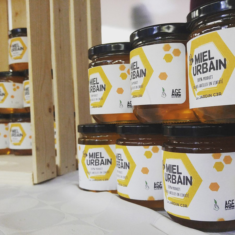 Miel urbain au cégep : un projet qui stimule l’entrepreneuriat
