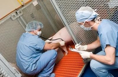 AccelLAB défend son projet