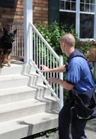 Quand Fido réserve un accueil mordant au facteur