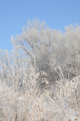 Un hiver qui ne passera pas à l'histoire