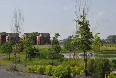 L'espace vert des Loggias sur le parc soulève la grogne