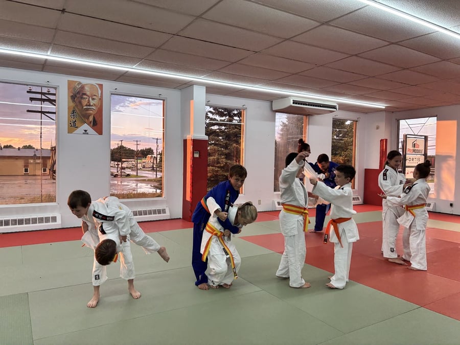 Le Club DOJO Domaine-du-Roy de Saint-Prime déménage