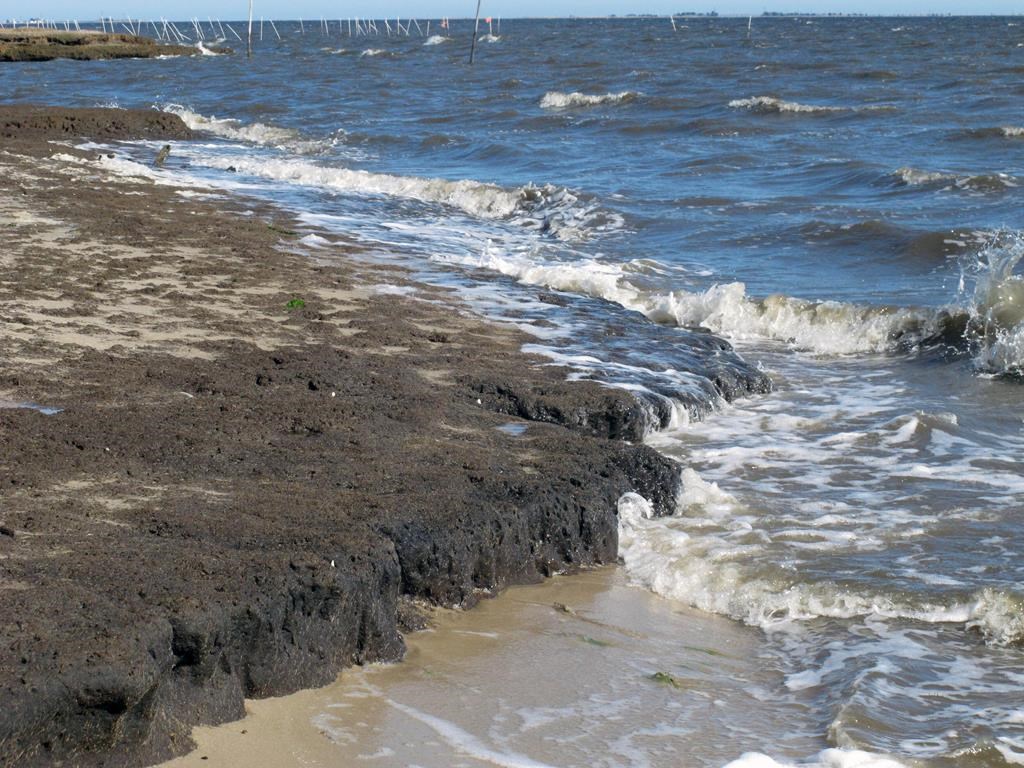 IPÉ: citoyens invités à contribuer au Plan d'adaptation climatique en préparation