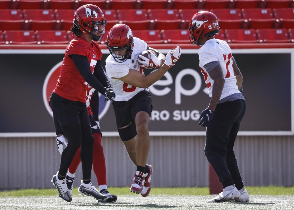 Les Elks et les Stampeders pourront faire légalement la grève à partir de jeudi