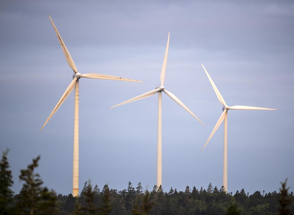 Les sociétés qui se vantent d'utiliser des énergies renouvelables pourraient exagérer