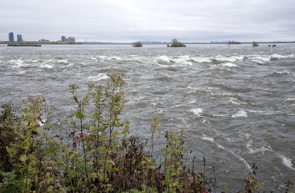 Le corps d'une jeune fille retrouvé en bordure du fleuve à LaSalle