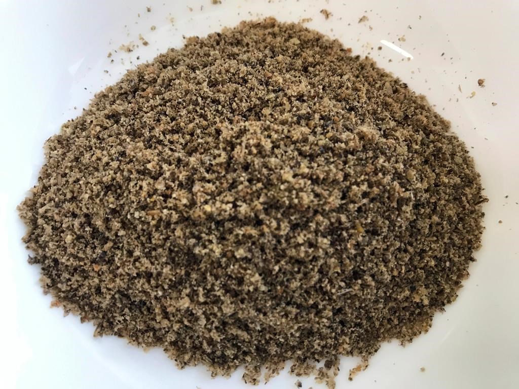 L'Université Laval lance une chaire d'enseignement sur les insectes comestibles