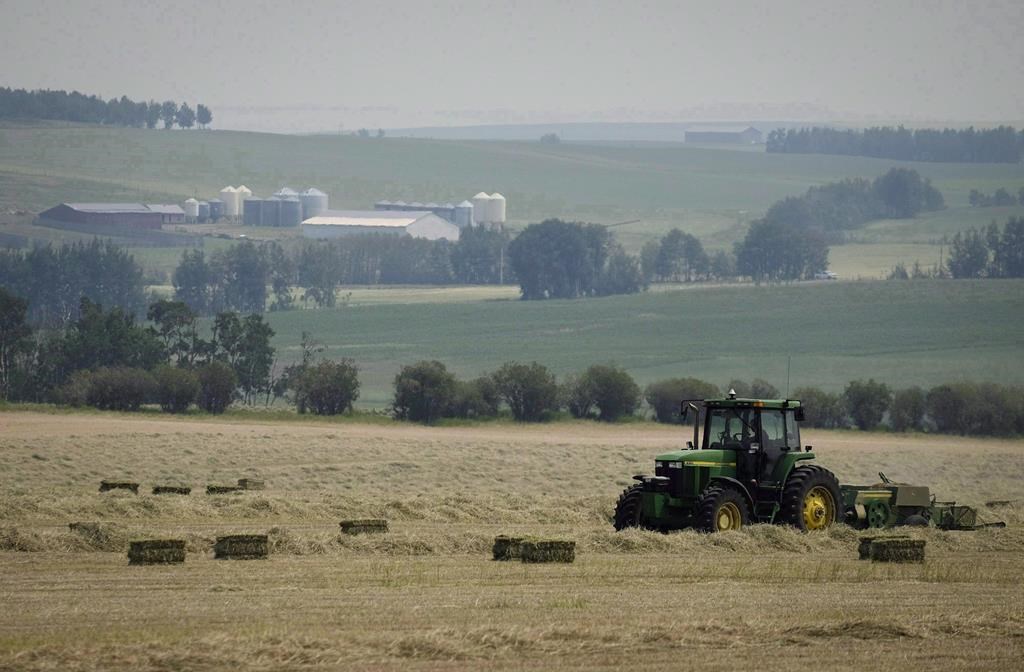 Le réchauffement climatique va faire monter la facture du panier d’épicerie
