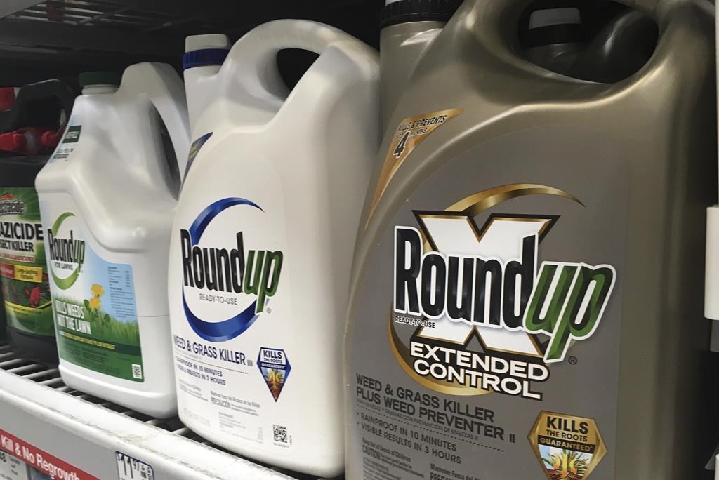 É.-U.: la Cour rejette l'idée que le glyphosate dans un désherbant est sans danger