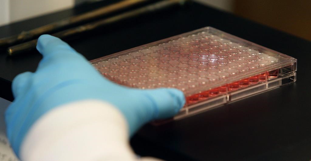Refus de reconnaître l'ancienneté lors d'une grève dans la santé: l'APTS gagne