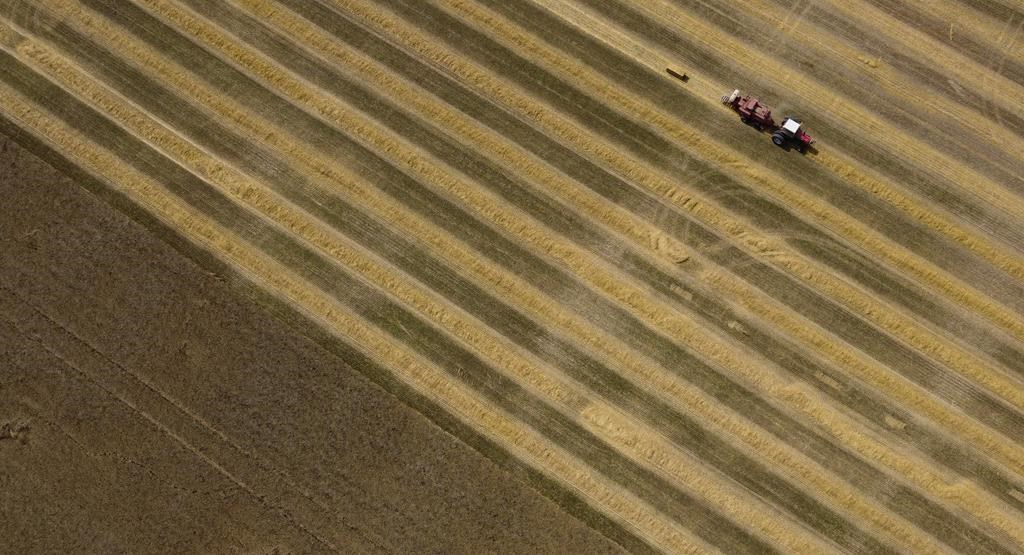 L'Ontario perd des terres agricoles à un rythme effréné à cause de l'étalement urbain
