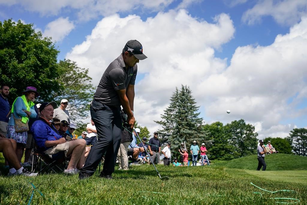 McIlroy joue 62 et se hisse provisoirement en tête au Championnat Travelers