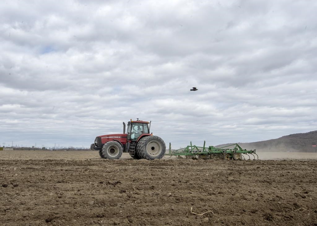 Planter des arbres en terres agricoles en échange de crédit carbone