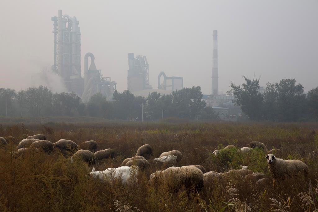 Ciment: les émissions de CO2 ont doublé en 20 ans