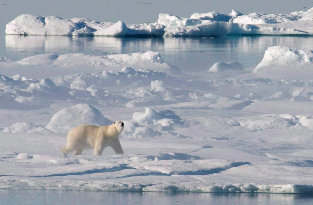 La Russie non invitée pour la reprise des travaux du Conseil de l'Arctique