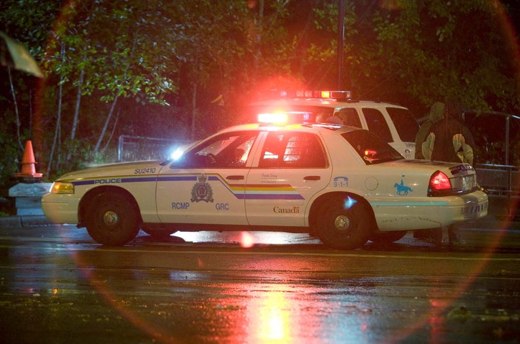 NÉ: arrestation d'un homme pour crimes liés aux armes à feu et à la contrebande