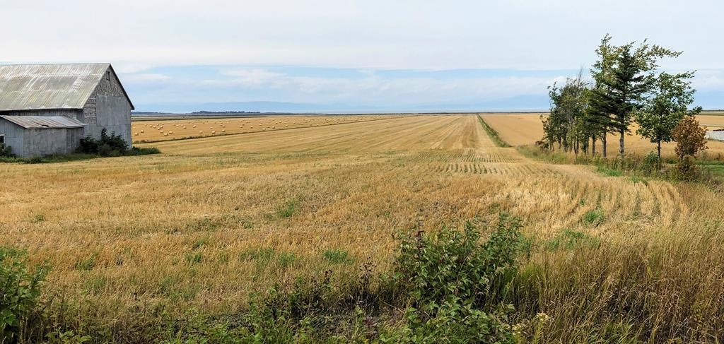 Des producteurs de grains veulent une aide pour payer les tarifs sur l’engrais russe