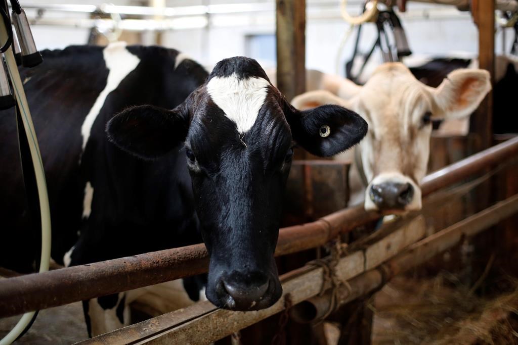 Un rapport recommande un dépistage accru des PFAS